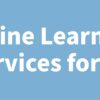 Online Learning Services for CS